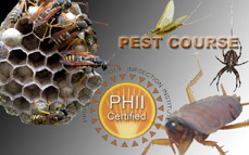 Pest Inspection Course Online Pest Inspection Course Online